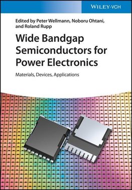 Wide Bandgap Semiconductors for Power Electronics