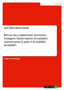 Retour des combattants terroristes étrangers. Quels enjeux sécuritaires existent pour la paix et la stabilité mondiale?