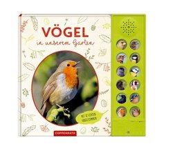 Vögel in unserem Garten