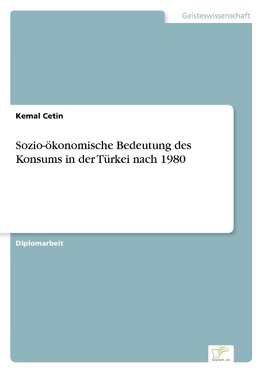 Sozio-ökonomische Bedeutung des Konsums in der Türkei nach 1980