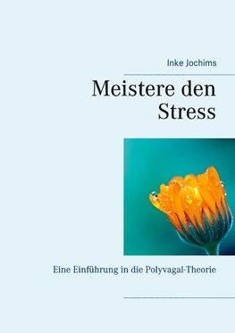 Meistere den Stress