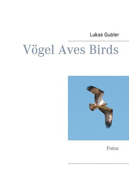 Vögel Aves Birds