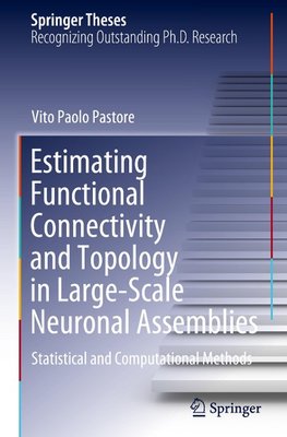 Estimating Functional Connectivity and Topology in Large-Scale Neuronal Assemblies