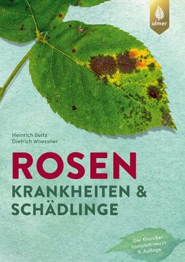 Rosenkrankheiten und Schädlinge