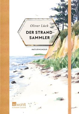 Der Strandsammler