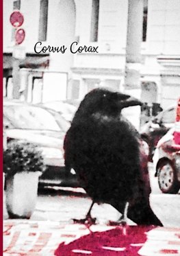 Corvus Corax