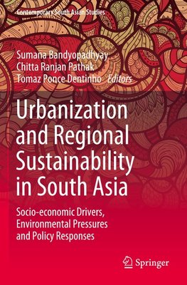 Urbanization and Regional Sustainability in South Asia