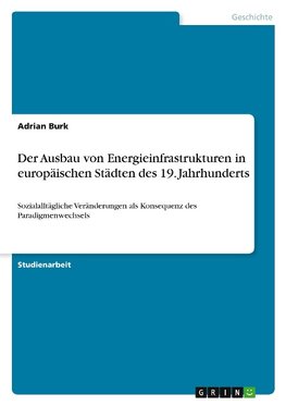 Der Ausbau von Energieinfrastrukturen in europäischen Städten des 19. Jahrhunderts