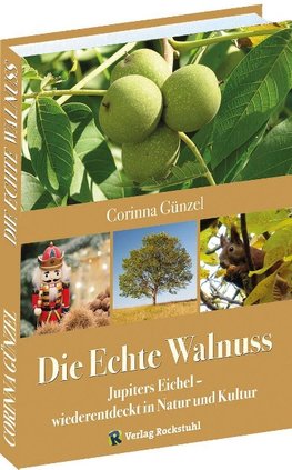 Die Echte Walnuss