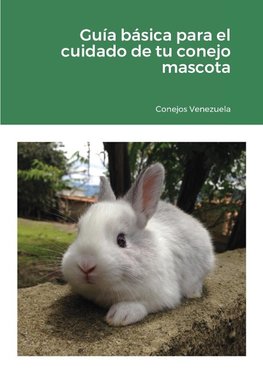 Guía básica para el cuidado de tu conejo mascota