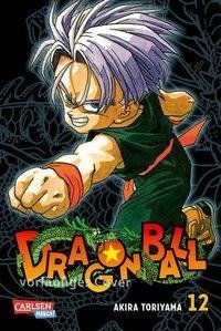 Dragon Ball Massiv 12