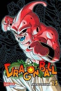 Dragon Ball Massiv 13