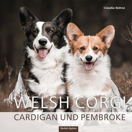 Welsh Corgi Cardigan und Pembroke