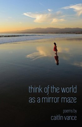 Think of the World as a Mirror Maze