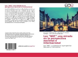 Las "NIIF" una mirada en la perspectiva nacional e internacional