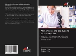 Attinomiceti che producono enzimi cellulasi