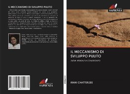 IL MECCANISMO DI SVILUPPO PULITO