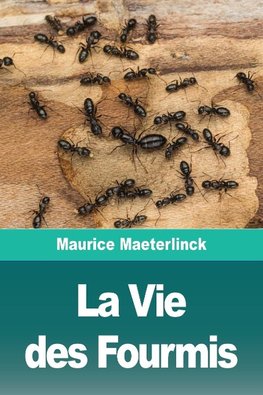 La Vie des Fourmis