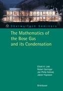 The Mathematics of the Bose Gas and its Condensation