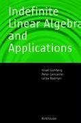 Indefinite Linear Algebra and Applications