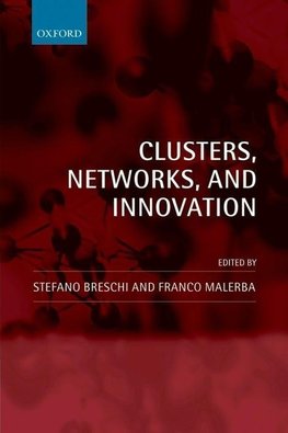 Clusters, Networks and Innovation