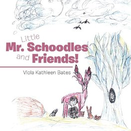 Little Mr. Schoodles and Friends!