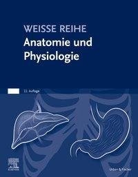 Anatomie und Physiologie