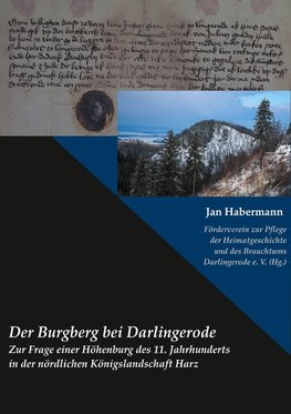 Der Burgberg bei Darlingerode