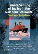 Remote Sensing of Sea Ice in the Northern Sea Route