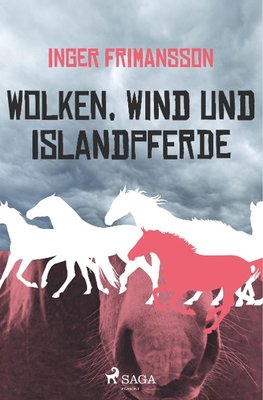 Wolken, Wind und Islandpferde