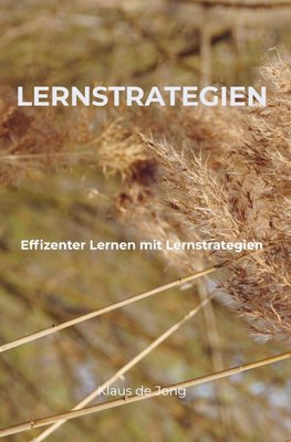 Lernstrategien