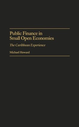 Public Finance in Small Open Economies