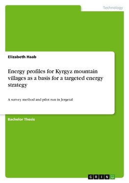 Energy profiles for Kyrgyz mountain villages as a basis for a targeted energy strategy