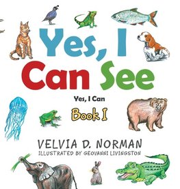 Yes, I Can See