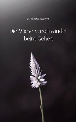 Die Wiese verschwindet beim Gehen