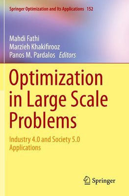 Optimization in Large Scale Problems