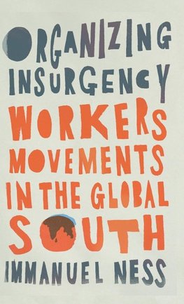 Organizing Insurgency