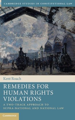 Remedies for Human Rights Violations