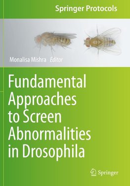 Fundamental Approaches to Screen Abnormalities in Drosophila