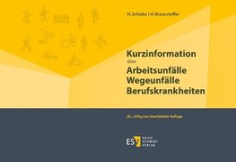 Kurzinformation über Arbeitsunfälle Wegeunfälle Berufskrankheiten