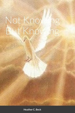 Not Knowing But Knowing