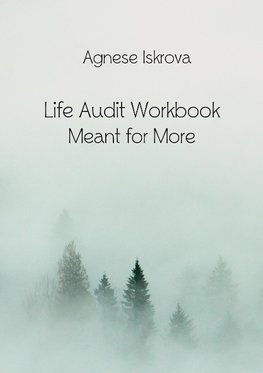 Life Audit Workbook