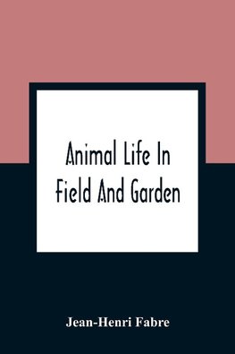 Animal Life In Field And Garden