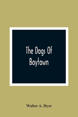 The Dogs Of Boytown