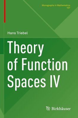 Theory of Function Spaces IV