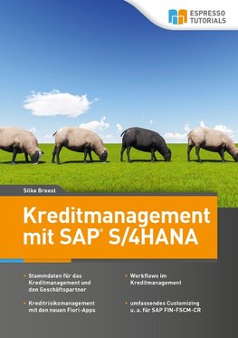 Kreditmanagement mit SAP S/4HANA