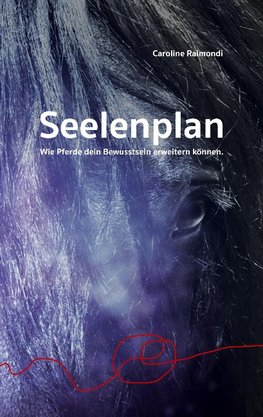 Seelenplan