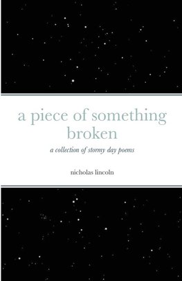 a piece of something broken