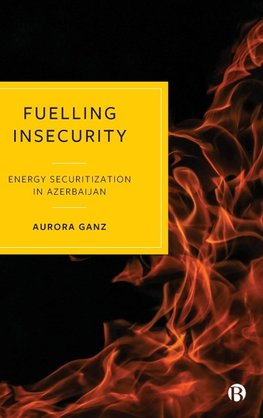 Fuelling Insecurity