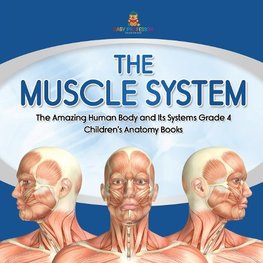 The Muscle System | The Amazing Human Body and Its Systems Grade 4 | Children's Anatomy Books